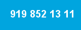 919 852 13 11 919 852 13 11